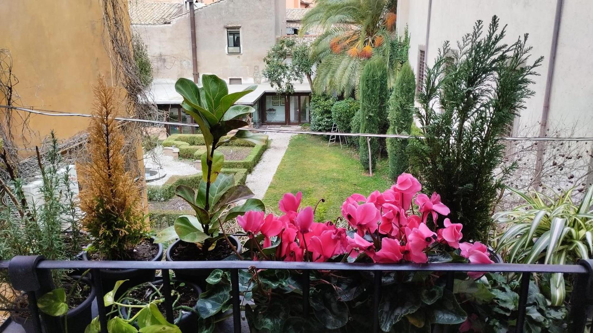 Ottantotto Viterbo Bed & Breakfast ภายนอก รูปภาพ